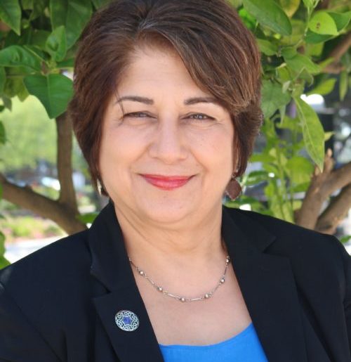 عدالت جنسیتی در جهان: دستاوردهای شکننده و چالش‌های پیشِ رو الهه امانی